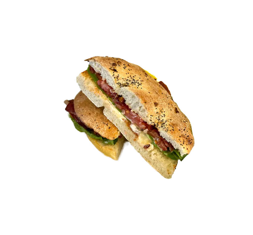BLT Buddies sarasota