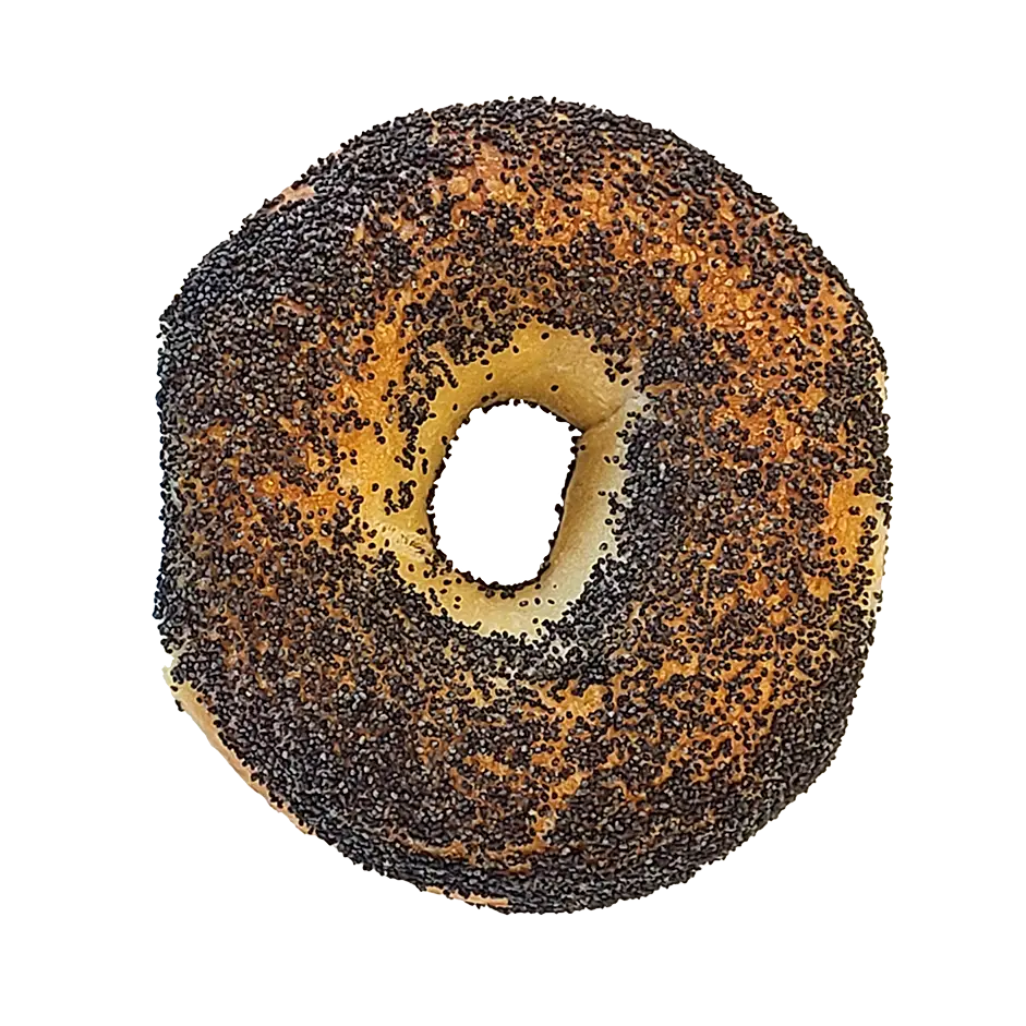 Bagel - Poppy