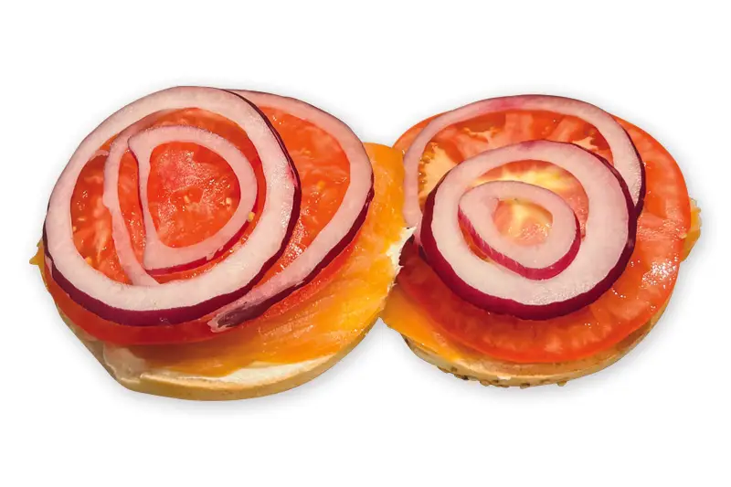 Nova Norwegian Smoked Salmon Buddies sarasota